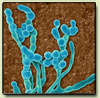 Pathogenic Molds