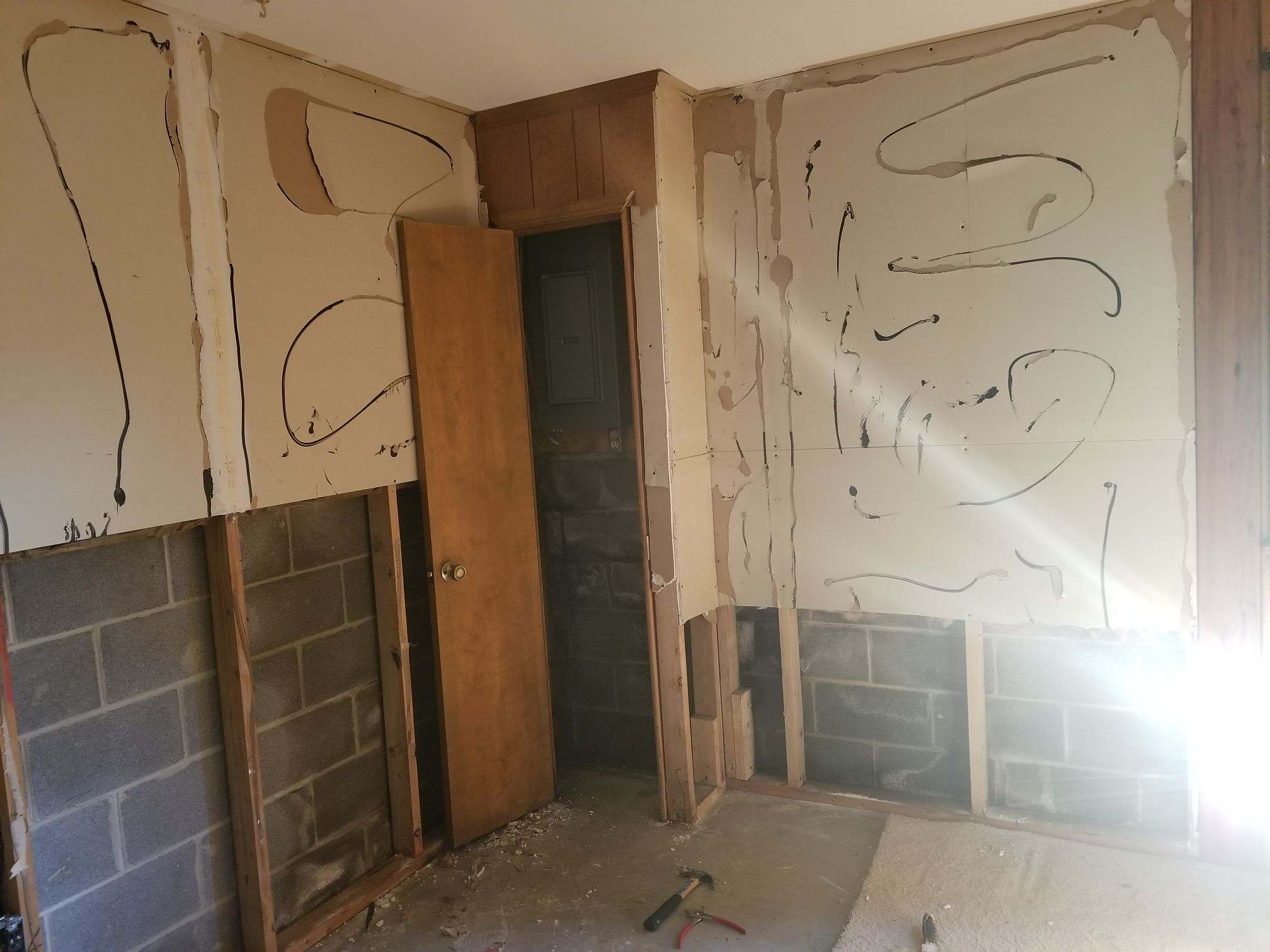 mold removal job in md