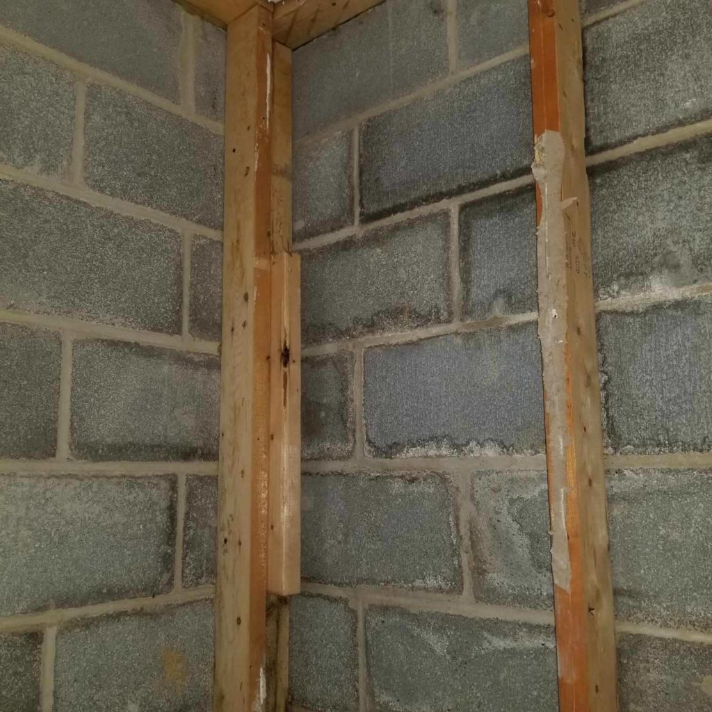 basement wall with mold